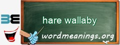 WordMeaning blackboard for hare wallaby